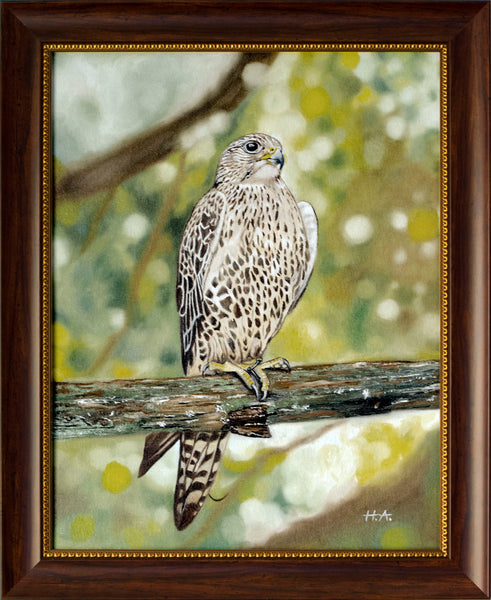 The Falcon - Oil On Canvas Framed <br> 54 x 44 cm - Free Shipping Worldwide